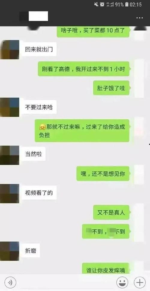 吃瓜聊天记录微信免费,一场趣味横生的网络盛宴